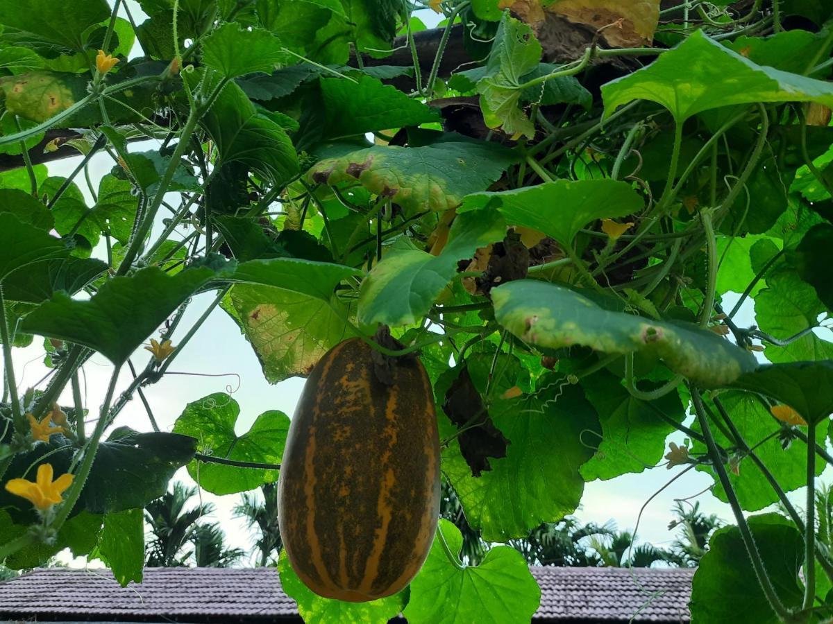 Jasmine Land Homestay Udupi Eksteriør bilde